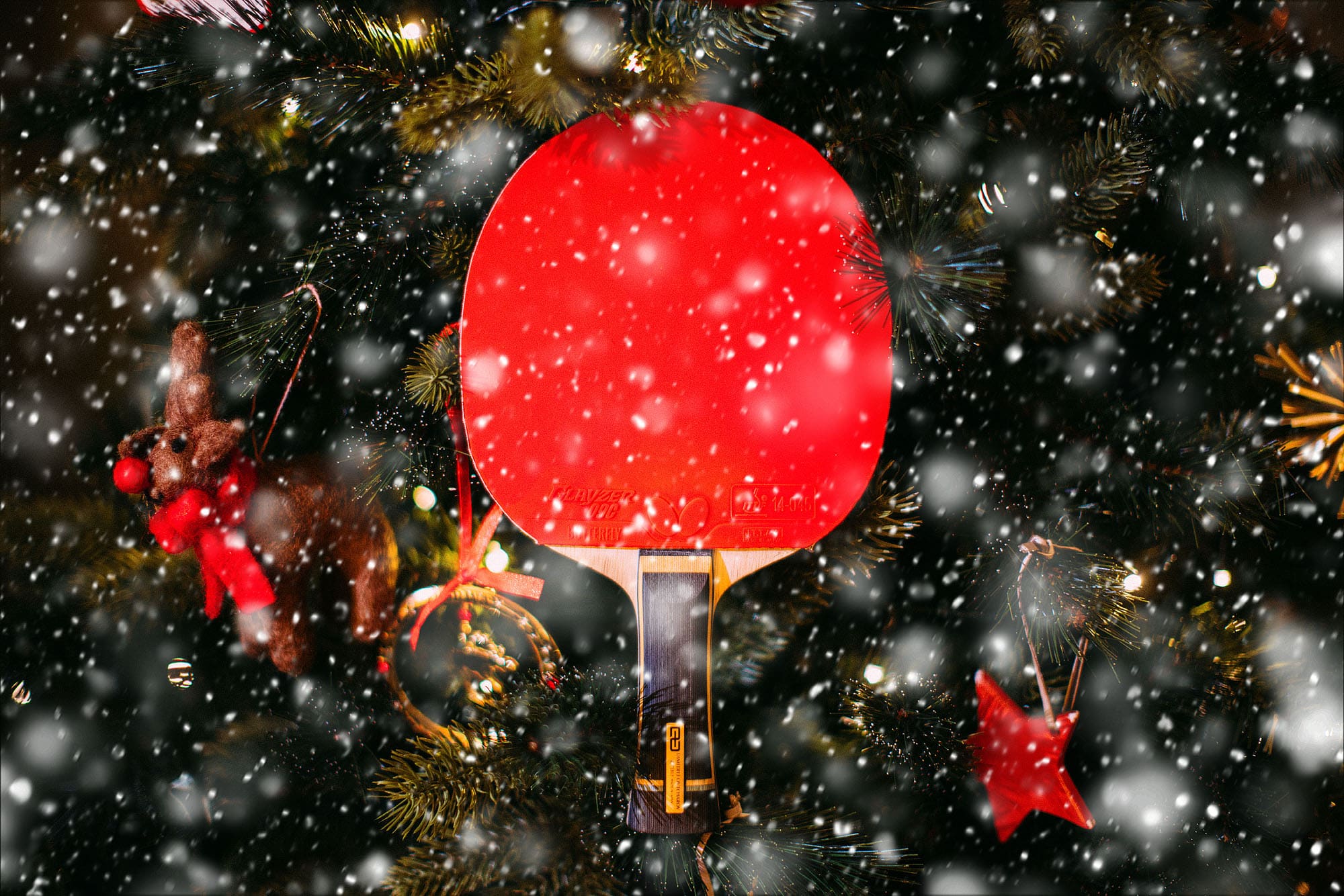 Christmas Opening Times 2023/24